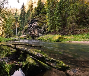 Rzeka, Drzewa, Skały