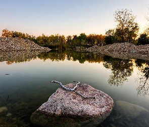 Kamień, Drzewa, Jezioro