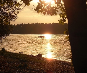 Zachód, Lasy, Jezioro, Słońca