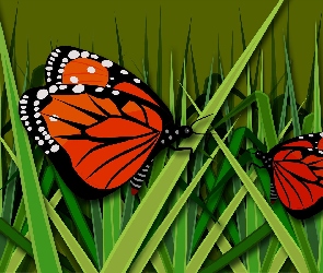 Motyle, Trawa, Grafika