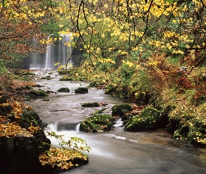 Jesień, Kamienie, Rzeka, Wodospad
