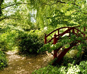 Mostek, Krzewy, Park, Drzewa