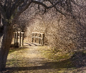 Mostek, Drzewa