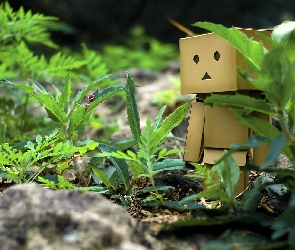 Danbo, Kamienie, Trawa