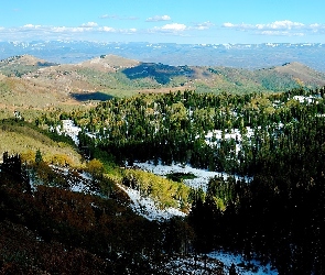 Lasy, Śnieg, Góry