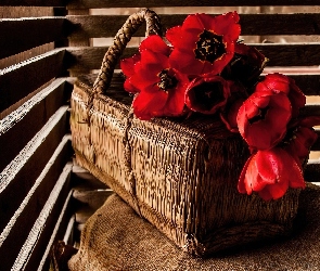 Czerwone, Tulipany, Koszyk