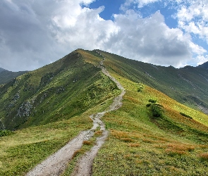 Szczyty, Góry, Ścieżka, Górskie