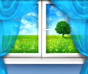 Okno, Zasłony, Drzewo, Niebieskie, Łąka