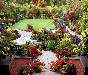 Schody, Kwiat, Ogród, Kolorowy
