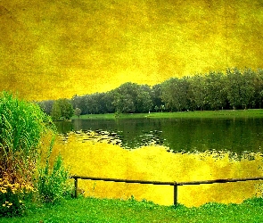 Las, Trawa, Jezioro