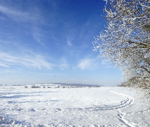 Niebo, Zima, Śnieg, Drzewo