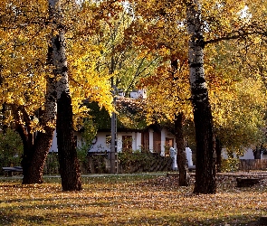 Jesień, Ławki, Park, Alejka