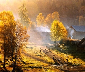 Wieś, Jesień
