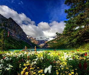 Jezioro, Kwiaty, Kolorowe, Park, Góry
