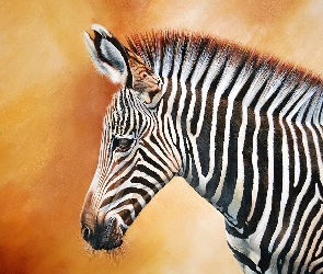 Zebra, Smutna