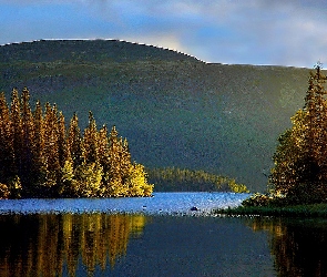 Jezioro, Góry, Las