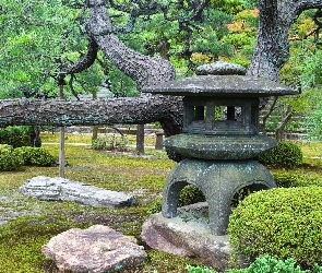Japonia, Park, Drzewa, Kamienie