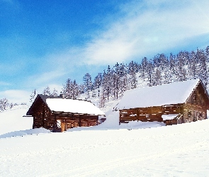 Domy, Drewniane, Śnieg, Zima, Drzewa, Dwa