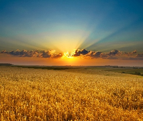 Łąki, Jesień, Słońca, Zachód, Pola