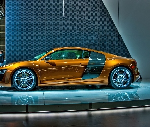 Audi R8, Wystawa
