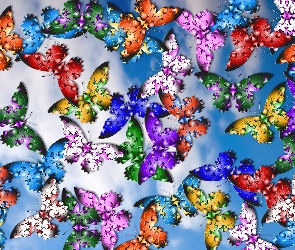 Motyle, Tekstura, Kolorowe