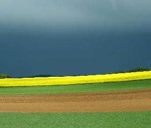 Pola, Niebo, Burzowe, Łąki