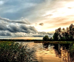 Drzewa, Szuwary, Piękne, Jezioro