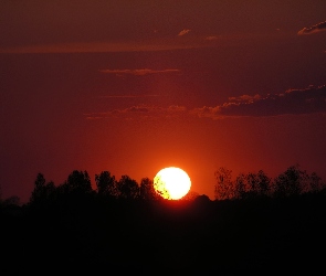 Niebo, Drzewa, Zachodzące, Słońce