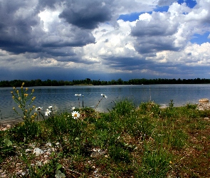 Jezioro, Chmury, Łąka