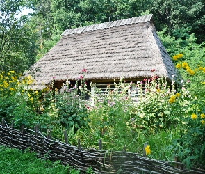 Drzewa, Płot, Trawa, Kwiaty, Domek