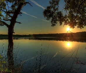 Drzewa, Słońca, Wschód, Lasy, Jezioro