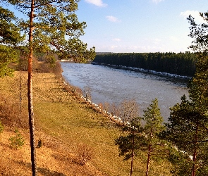 Niebo, Drzewa, Rzeka, Las