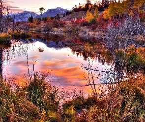 Trawa, Drzewa, Góry, Jezioro