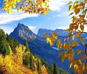 Góry, Drzewa, Jesień