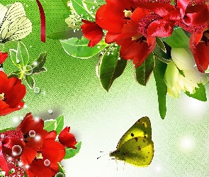 Art, Motyle, Czerwone, Tulipany