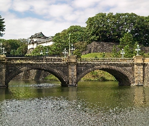Cesarski, Drzewa, Most, Jezioro, Tokio