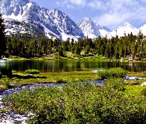 Las, Jezioro, Góry
