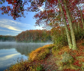 Jesień, Drzewa, Mgiełka, Jezioro