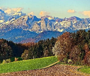 Piękne, Pola, Lasy, Góry