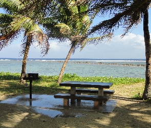 Park, Palmy, Morze