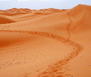 Sahara, Pustynia