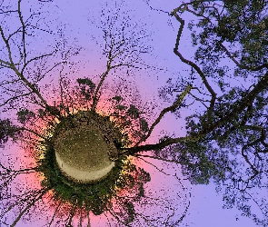 Niebo, Słońce, Drzewo