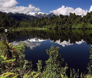 Jezioro, Las, Góry