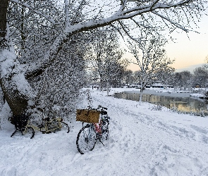 Park, Rowery, Rzeka, Śnieg