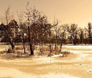 Zima, Drzewa, Zamarznięte, Jezioro