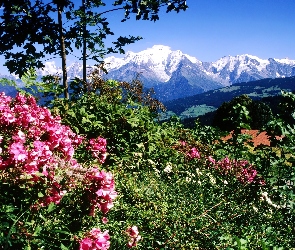 Góry, Francja, Mont Blanc