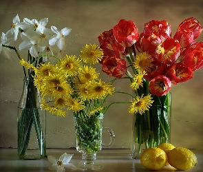 Bukiet, Cytryny, Narcyzy, Margerytek, Tulipanów