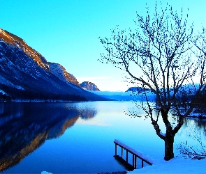 Zima, Drzewo, Jezioro, Góry