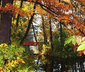 Jezoro, Most, Jesień, Park, Kolorowe, Liście