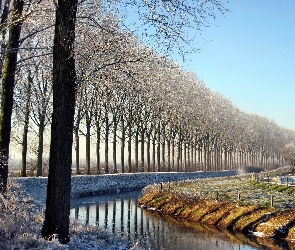Zima, Drzew, Szpaler, Rzeczka